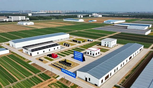 产业升级中的技术咨询常见问题与应对策略